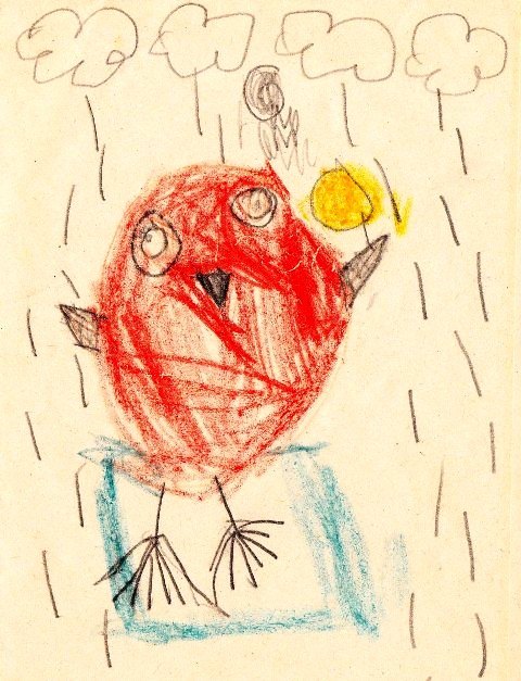 Child's drawing of a bird