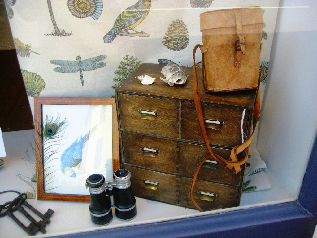 Window display in shop