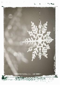 Photo of a snowflake